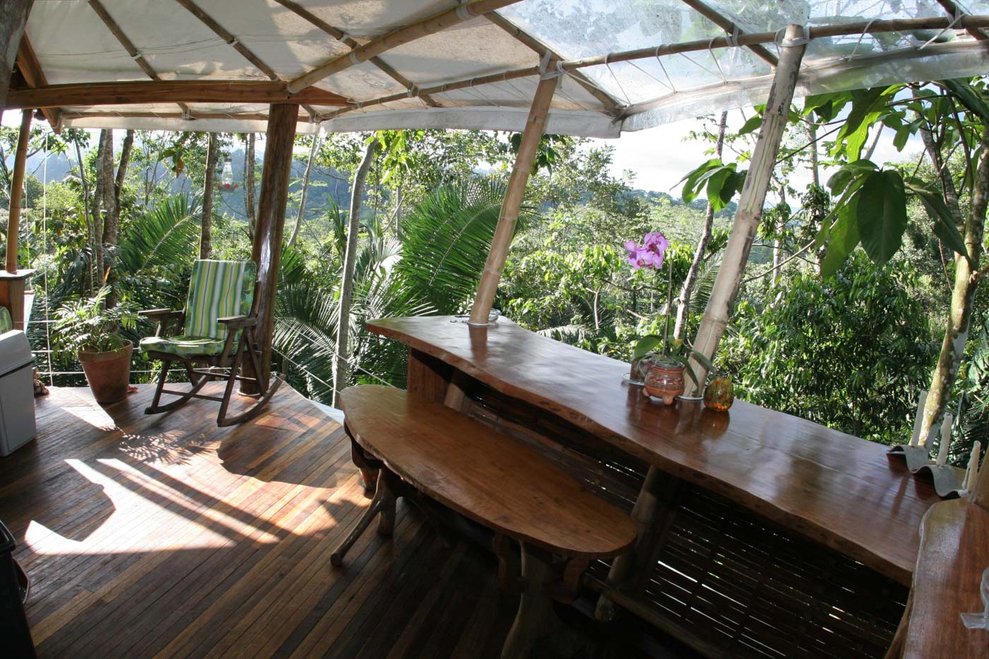 Lapa's Nest Tree House